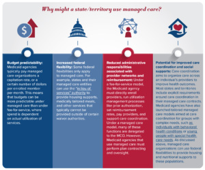 Explainer on how states and territories make decisions about provider payment models.