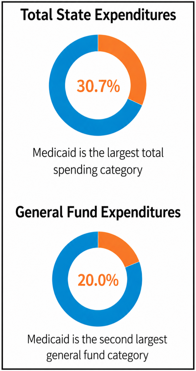 The Art and Science of Medicaid Budget Forecasting - National ...